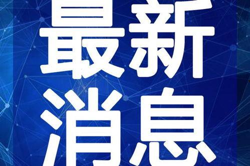 刘老师最新爆料新闻视频,最新爆料新闻视频深度解析