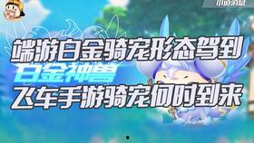 飞车最新骑宠爆料,揭秘神秘骑宠，畅享速度与激情！