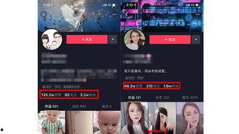吉安抖音爆料事件视频最新,真相大白，网络舆论如何影响现实？