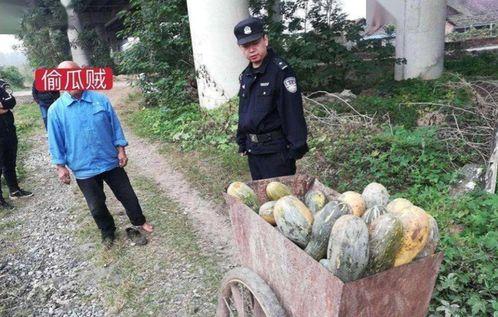 长葛吃瓜最新事件爆料是真的吗,最新爆料真相揭秘